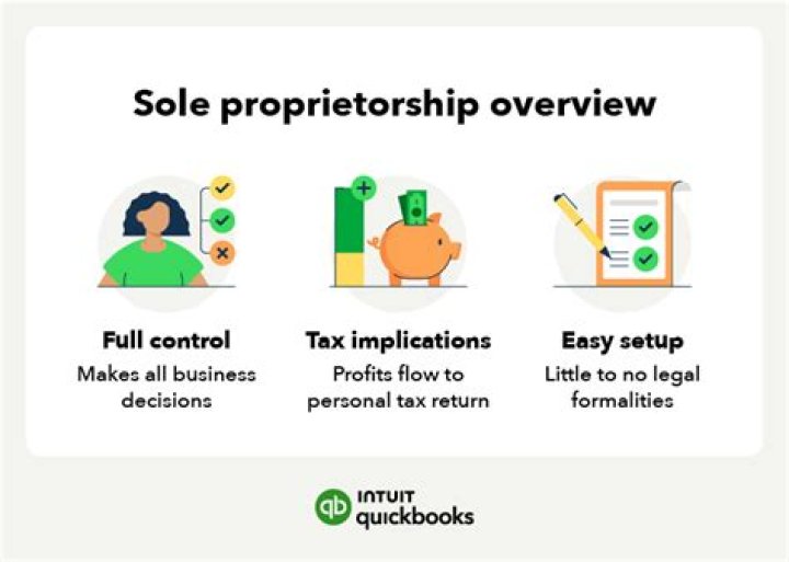 How to report income from a sole proprietorship?