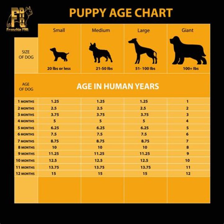 Is 17 still considered a child?