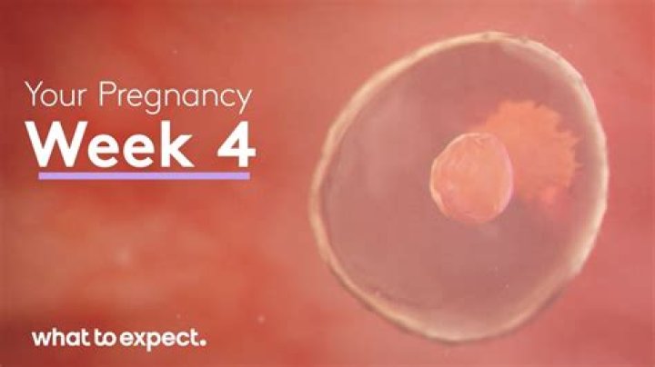 Is 4 weeks pregnant really 2 weeks?