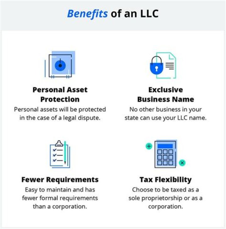 Is an LLC recognized at the federal level?
