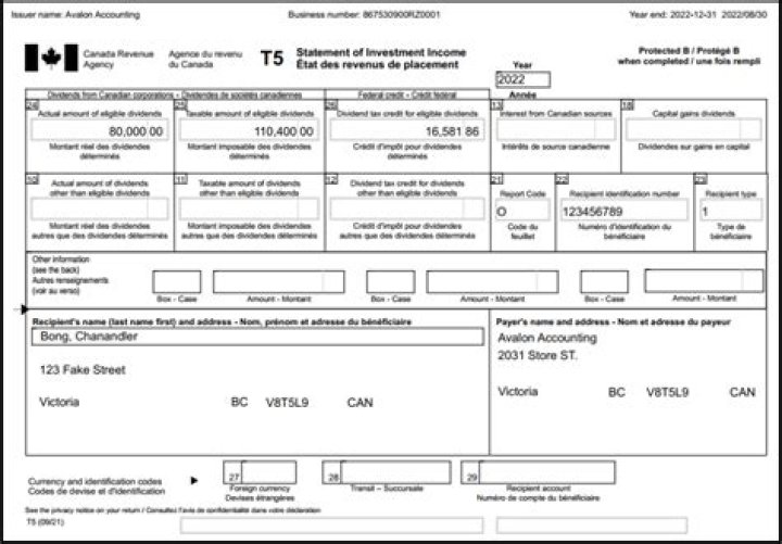 Is CRA accepting paper tax returns?