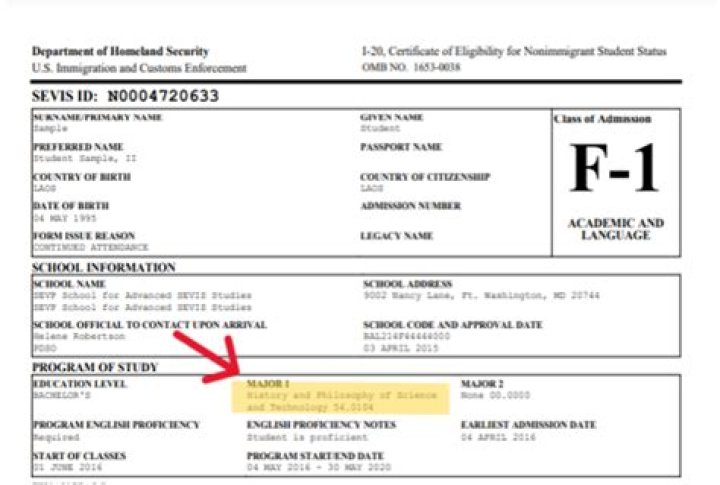 Is F1 OPT resident alien?