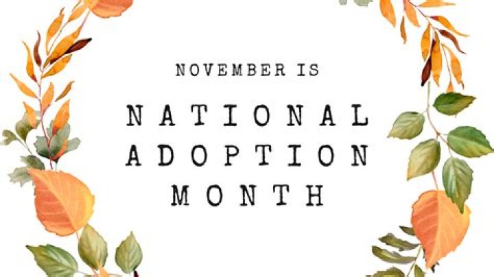 Is November National Adoption Month?