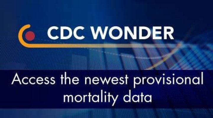Is Wonder CDC Gov a legit site?