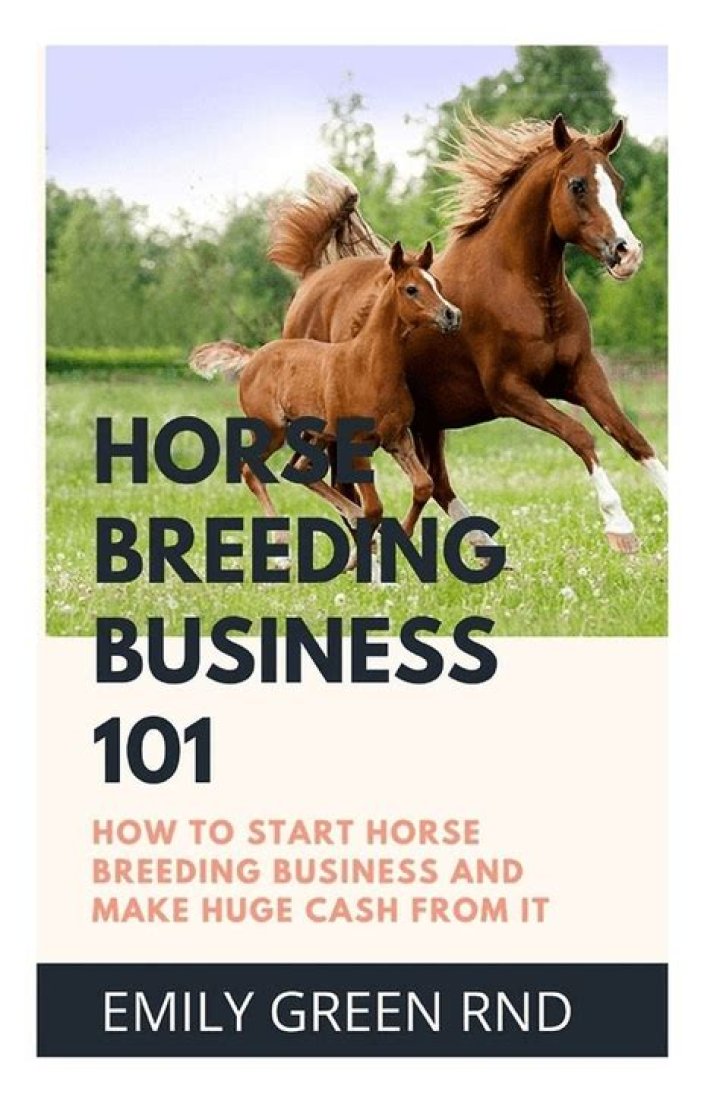 Should a horse business be an LLC?