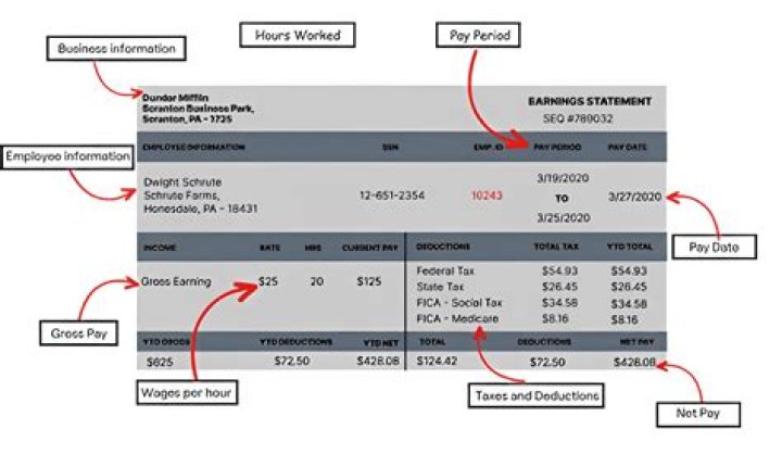 Should HSA contributions be on W-2?
