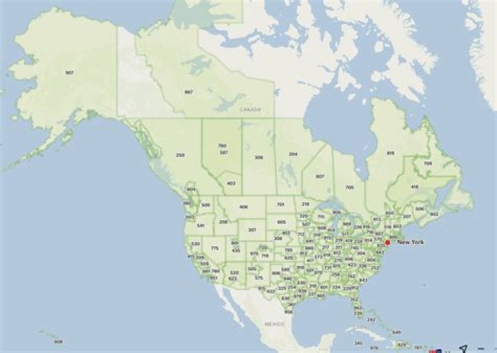 What are 743 negative adjustments?
