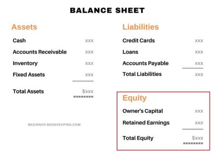 What are equity accounts used for?