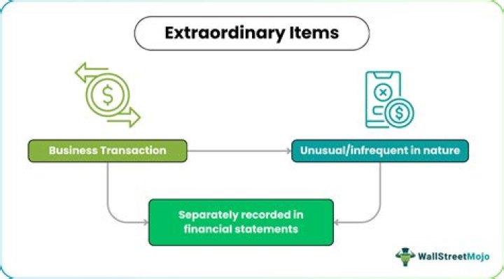 What are examples of extraordinary items in accounting?
