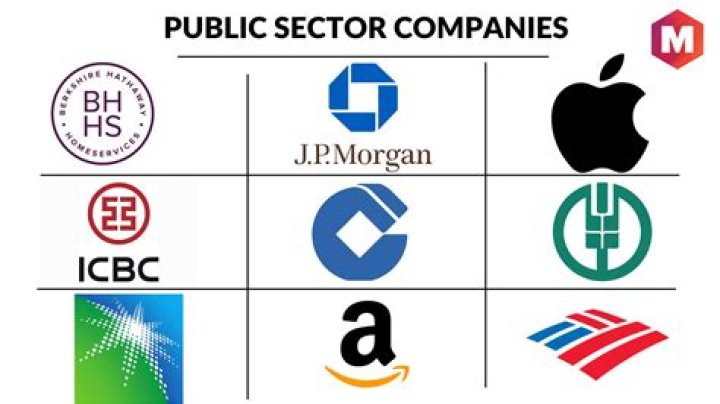 What are examples of public companies?