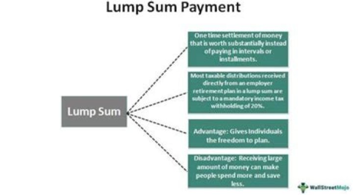 What are lump sum questions?