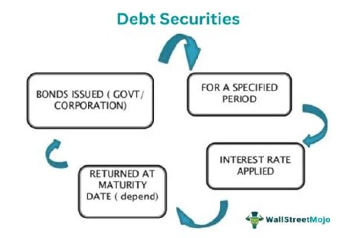 What are major types of debt securities options?