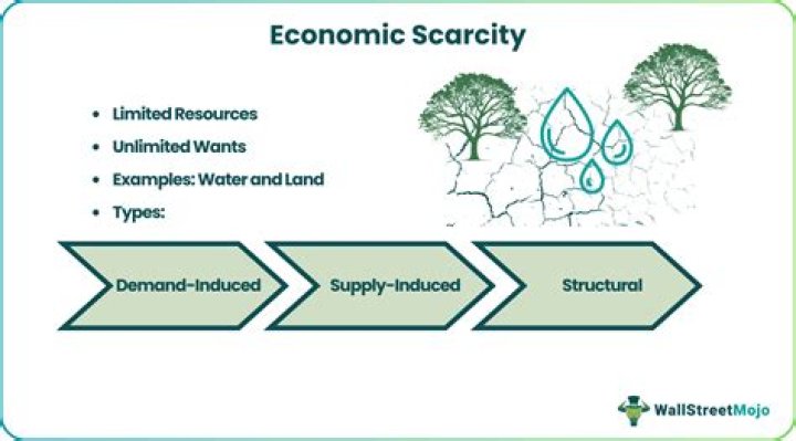 What are the 4 scarce resources economics?