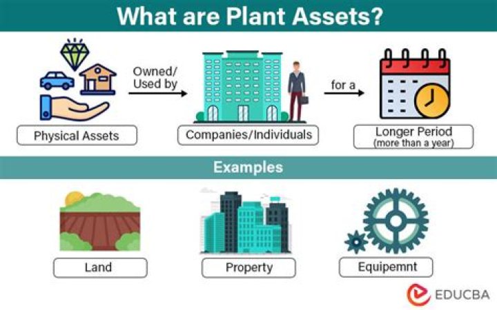 What are the 4 subdivisions of plant assets?