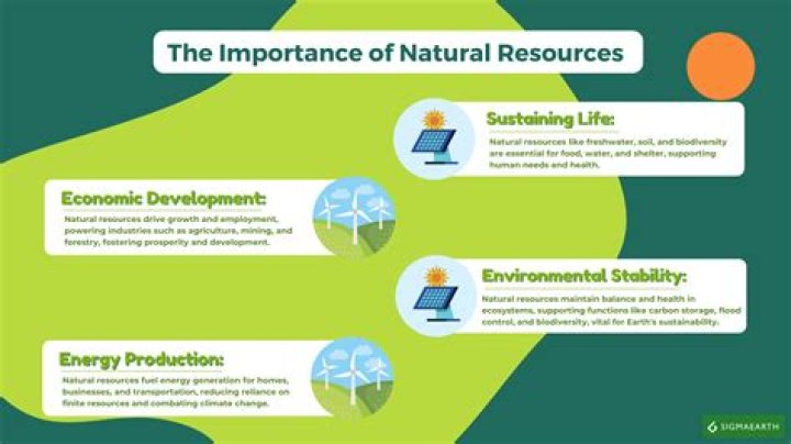 What are the economic importance of natural resources?