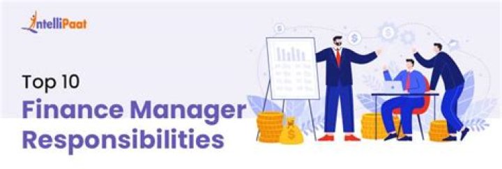 What are the Finance Manager responsibilities?