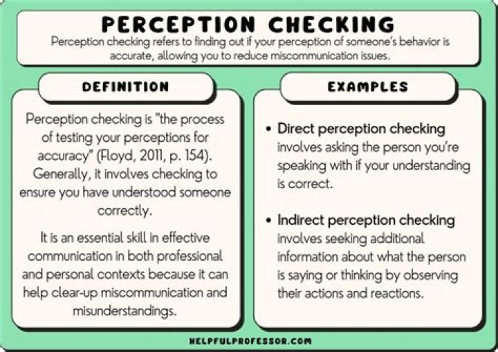 What are the five steps of perception checking?