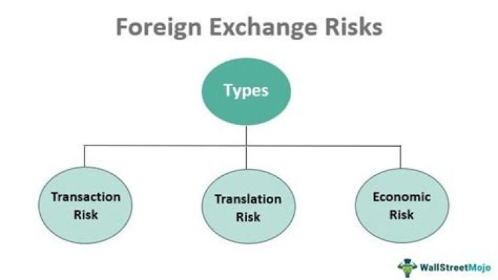 What are the foreign exchange risks explain each risk?