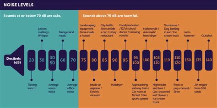 What are the noise level restrictions?