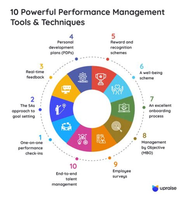 What are the performance management techniques?