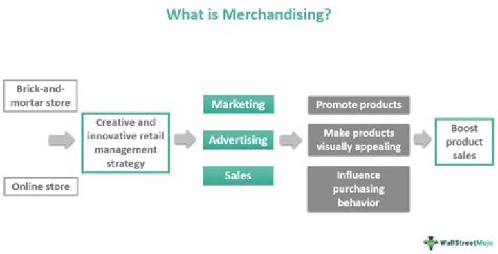 What are the possible activities in a merchandising business?