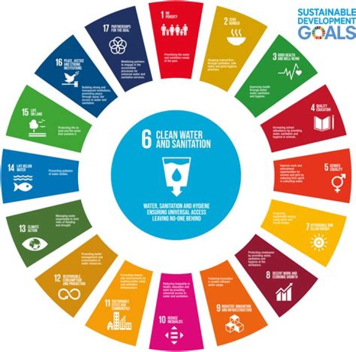 What are the primary goals of a firm?
