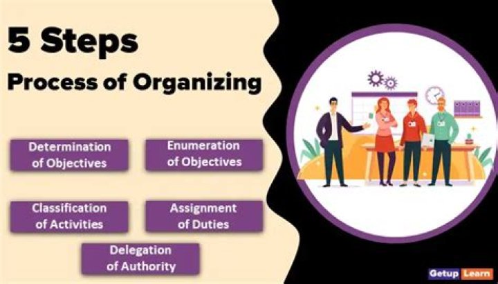 What are the steps of organizing?
