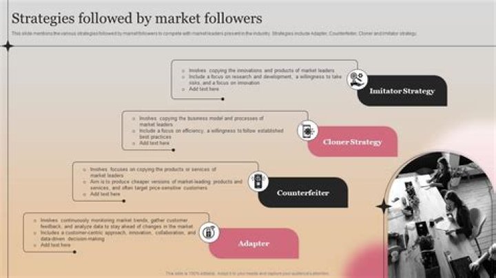 What are the strategies followed by industry leaders and followers?