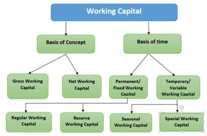 What are the working capital management policy explain each?