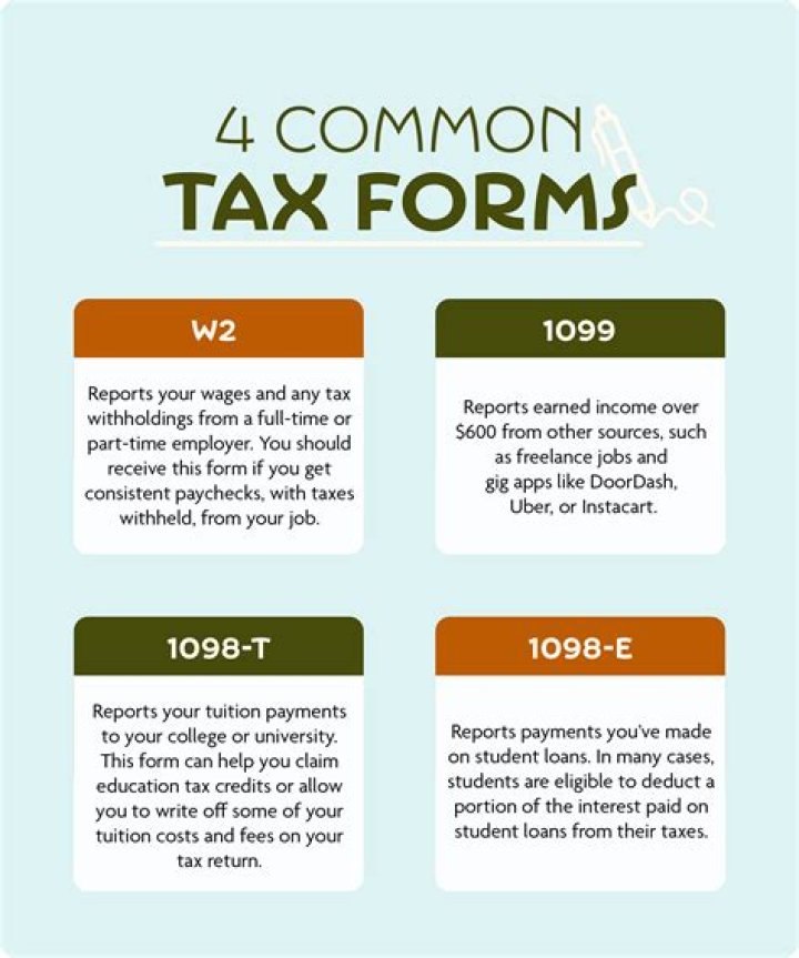 What are three common taxes everyone pays?