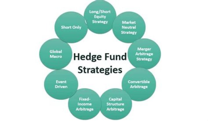 What business structure are hedge funds?