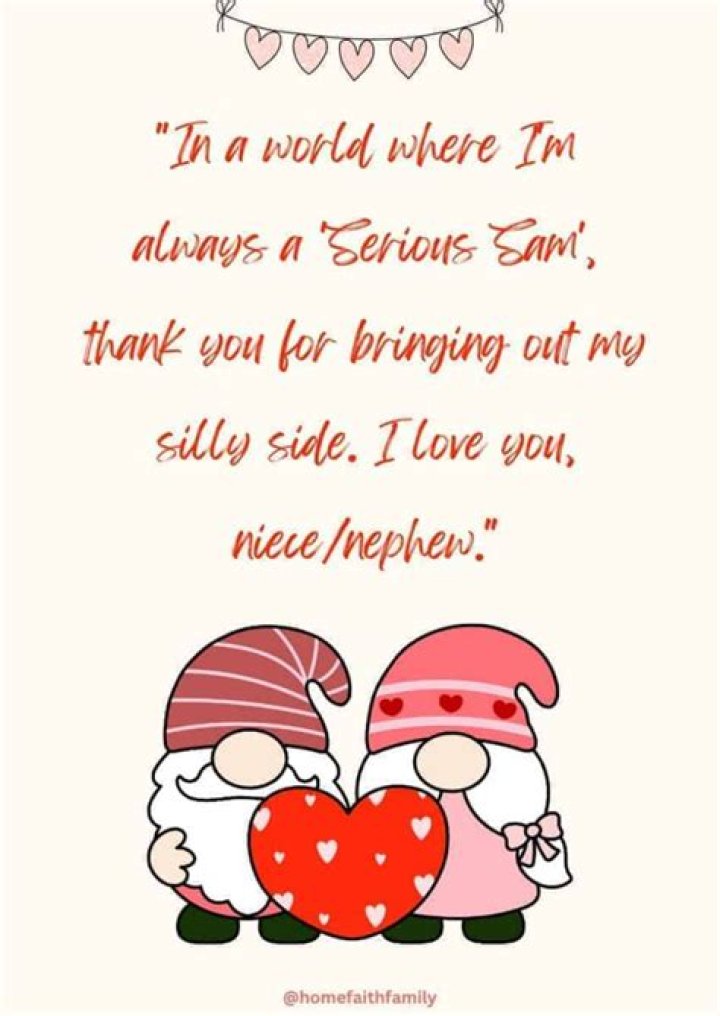 What can I do to take my nieces and nephew out of my foster and home?