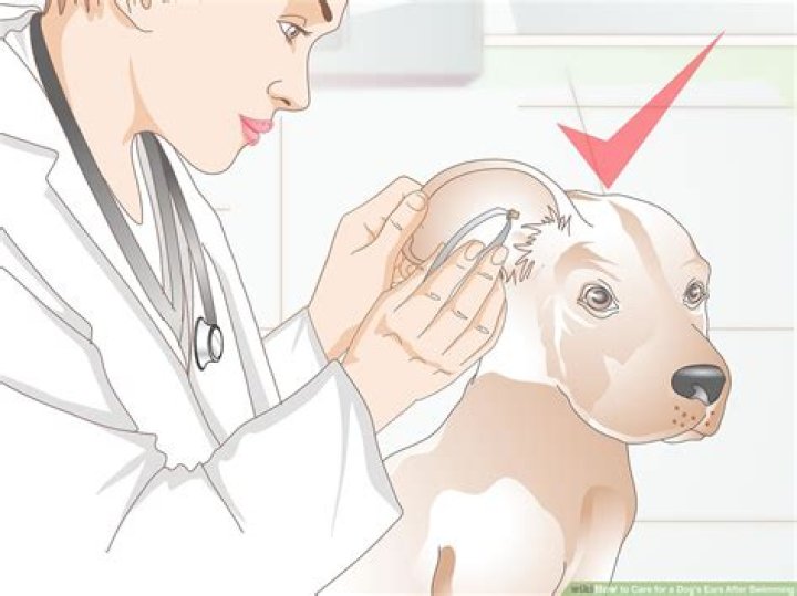 What do I do if My stimulus check hasn t arrived?