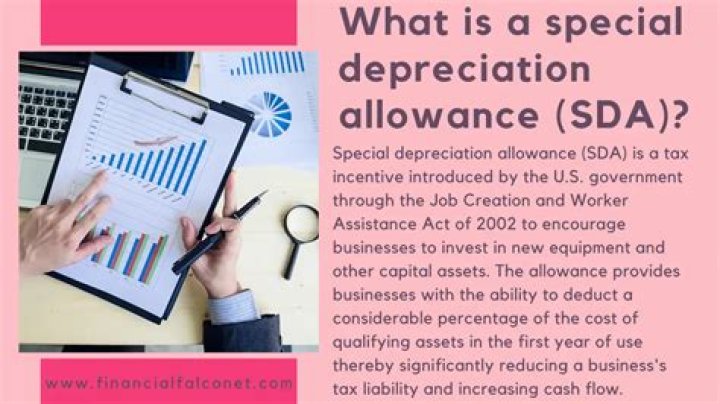 What do I enter for special depreciation allowance?