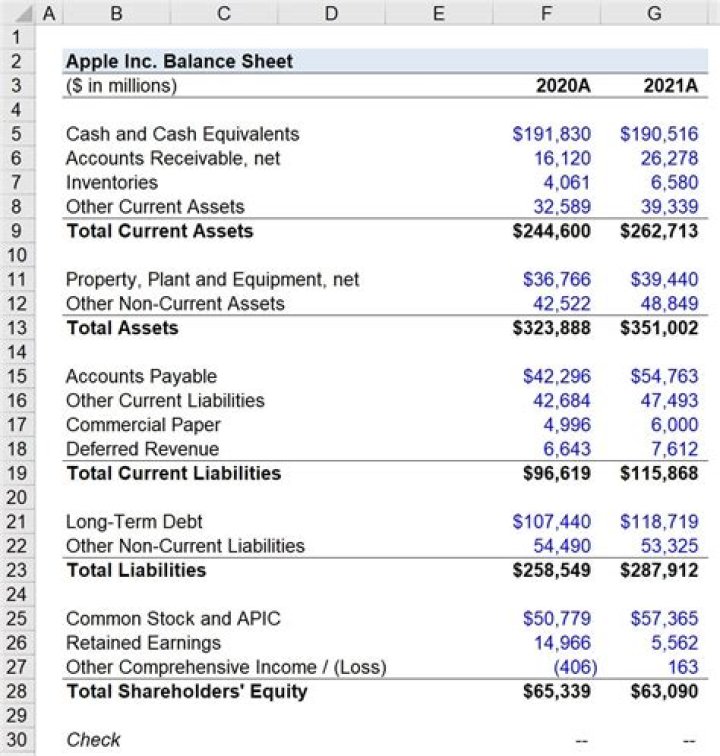 What does a balance sheet actually show?