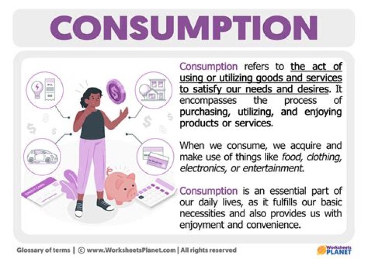 What does a consumer consume?