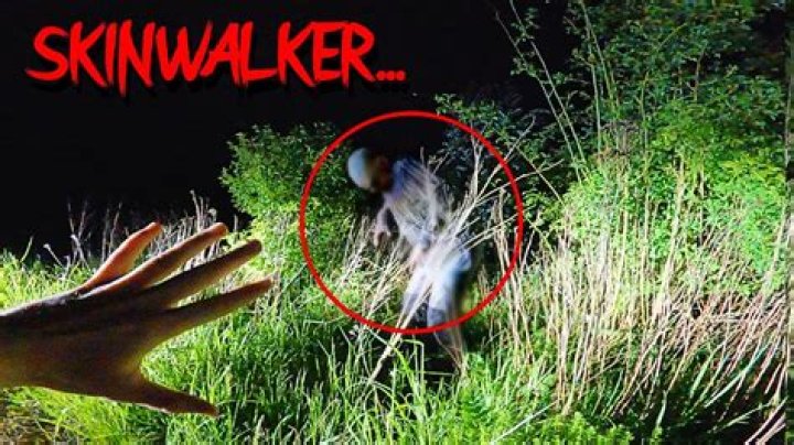 What does a hot walker do?