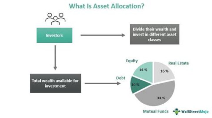 What does allocate your investment mean?