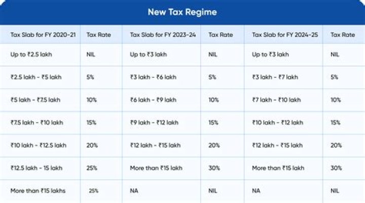 What does current tax year mean?