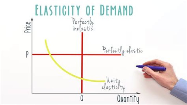 What does elasticity mean in economics?