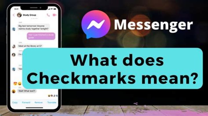 What does it mean when you send a text and it disappears?