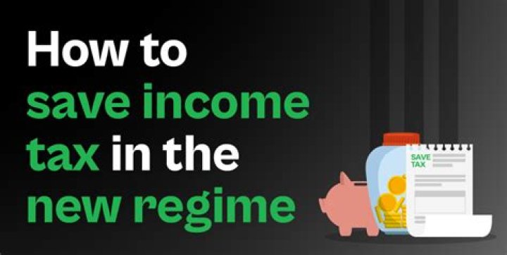 What expenses can be shown to save tax?