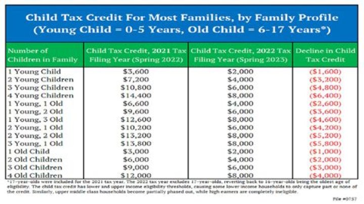 What form do you use for child tax credit?