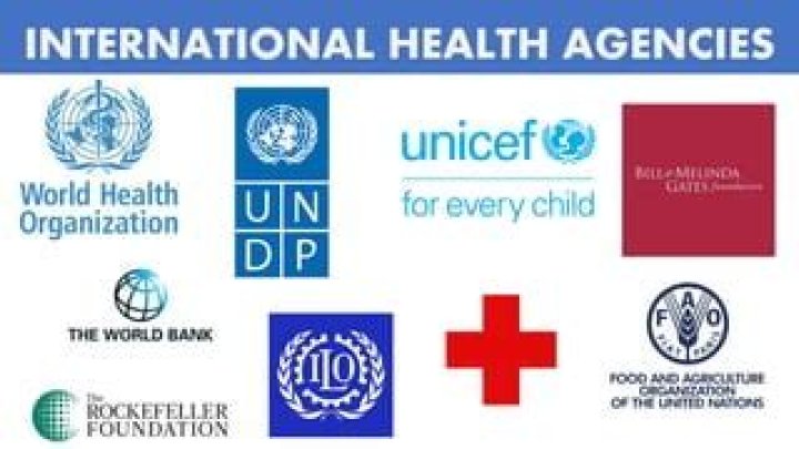 What government agencies and organizations are involved in addressing Covid 19?