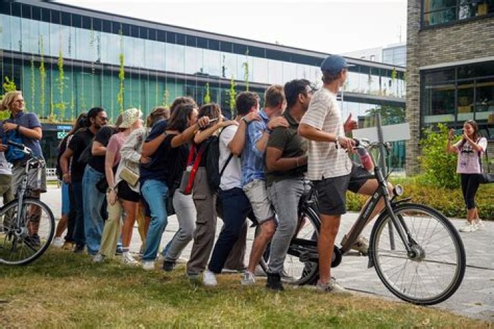 What happens to international students after they graduate?