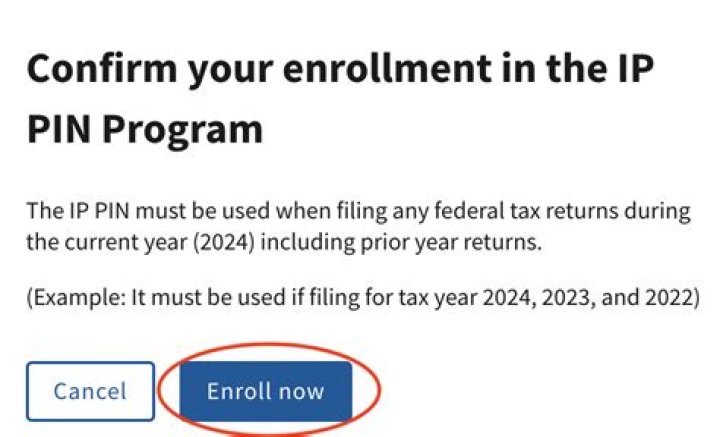 What happens when you apply for an IP pin?