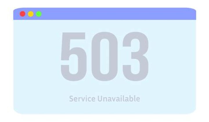 What is a 503 c status?