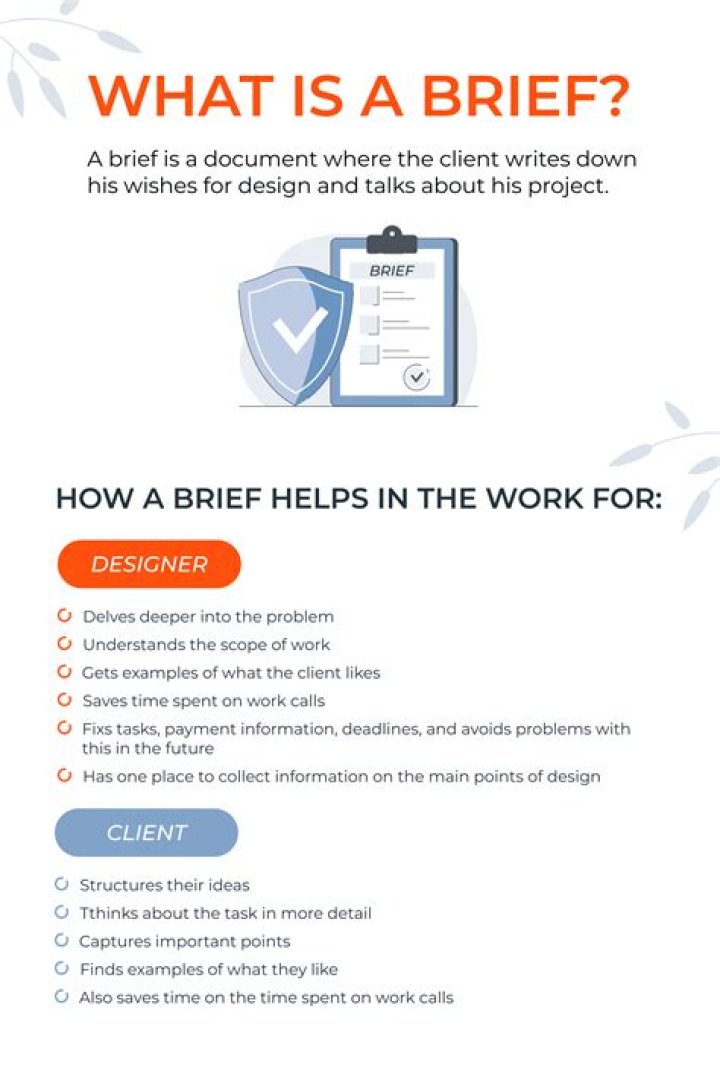 What is a brief overview meaning?