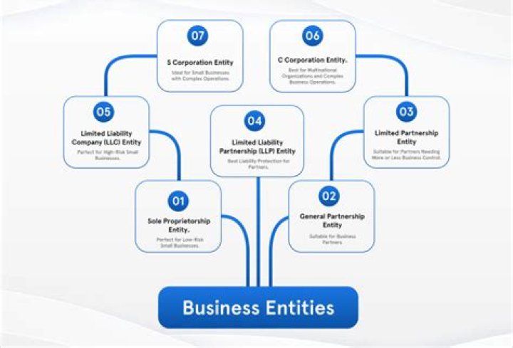 What is a business entity owned by one person?