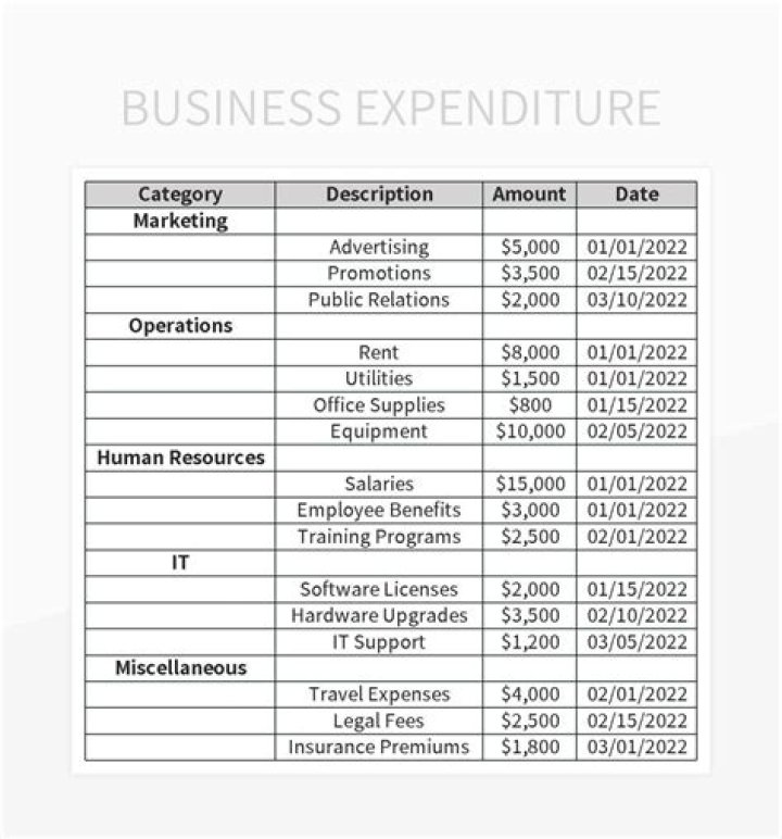 What is a business expenditure?
